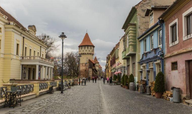 Old Town Cozy Nest Apartment Sibiu Exterior photo